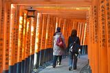 thumbnail: Fushimi Inari Taisha Shrine, Kyoto